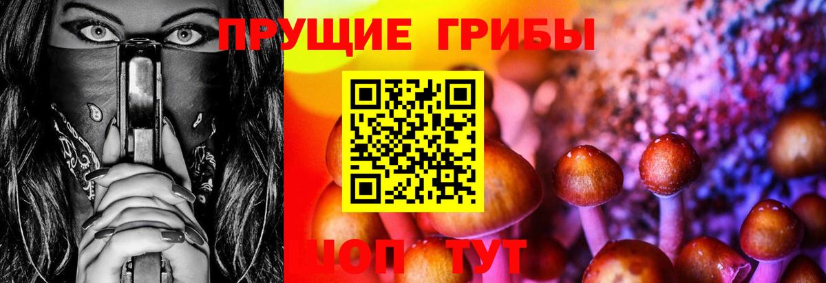 Иркутск  Галлюциногенные грибы мицелий  Вход с VPN 